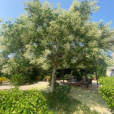 Casa Lusentum Villa Torrevieja Ngoại thất bức ảnh