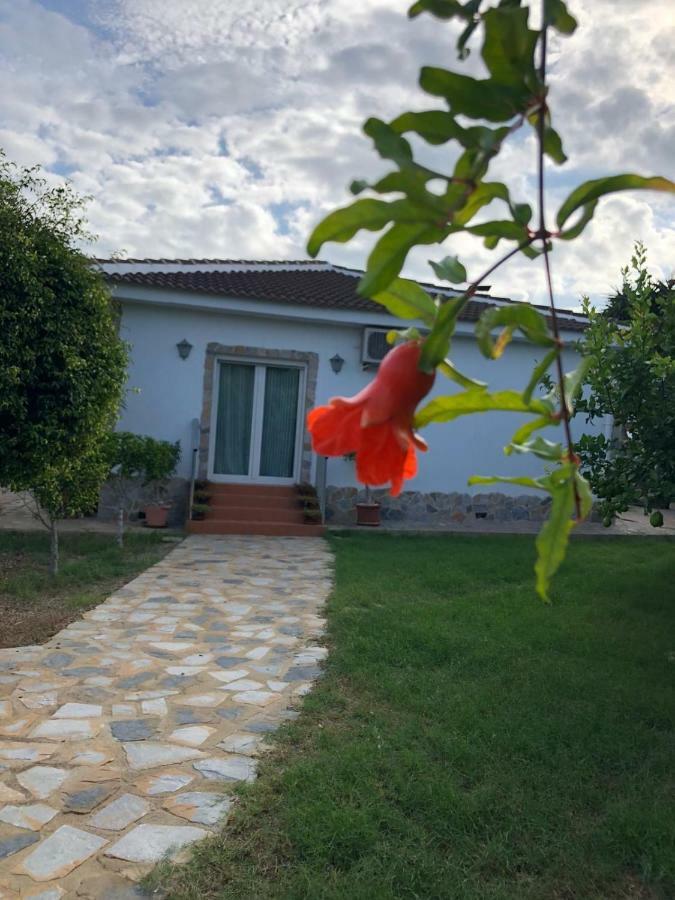 Casa Lusentum Villa Torrevieja Ngoại thất bức ảnh